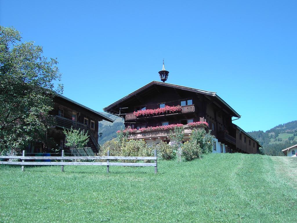 Mitterhaidgut Villa Hollersbach im Pinzgau Bagian luar foto