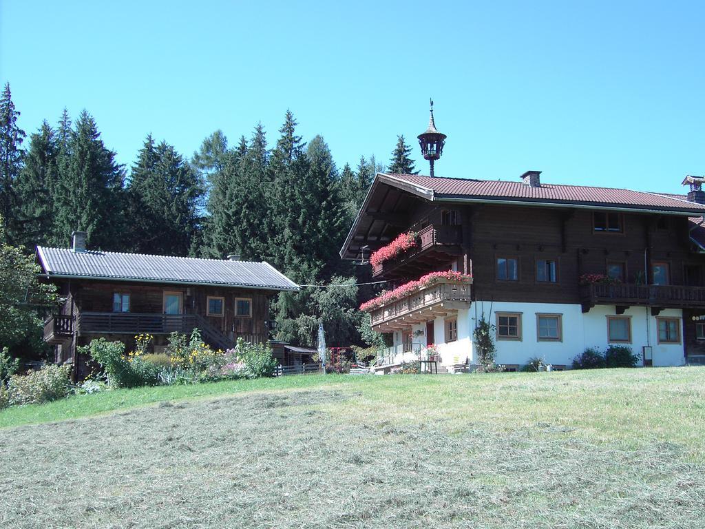 Mitterhaidgut Villa Hollersbach im Pinzgau Bagian luar foto