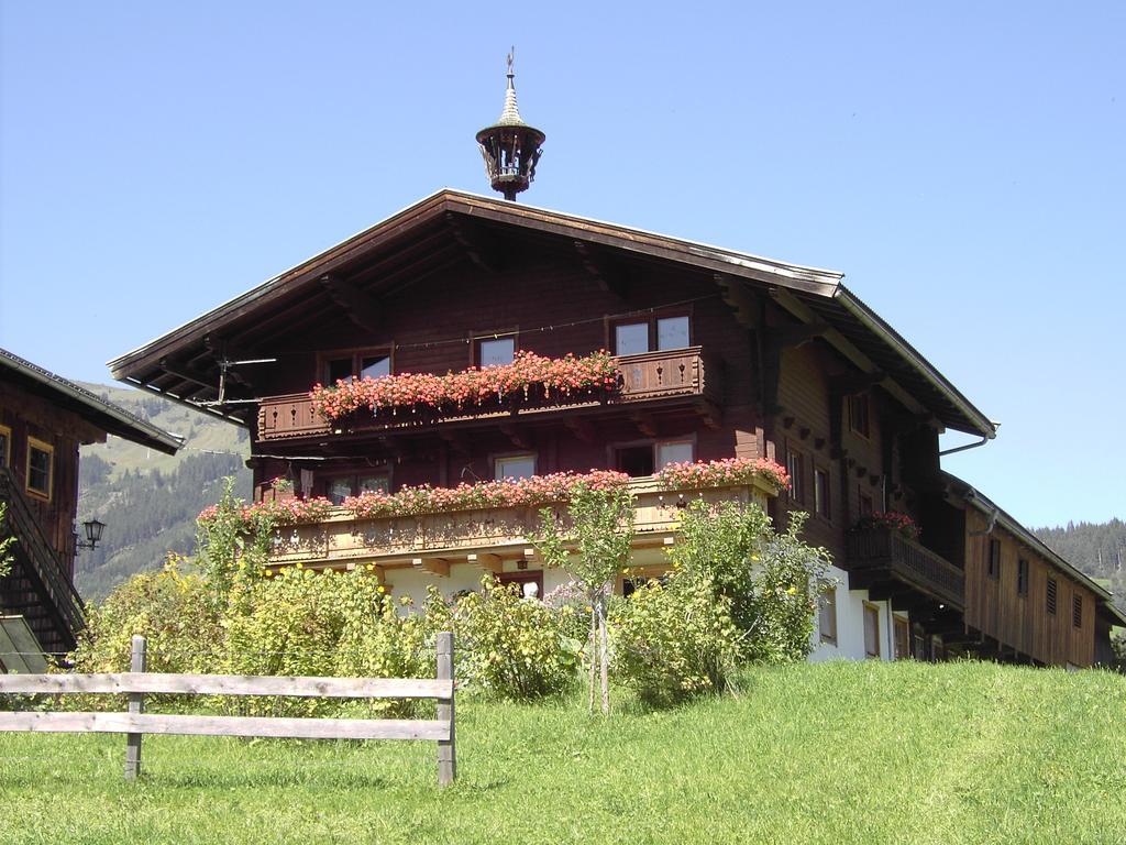 Mitterhaidgut Villa Hollersbach im Pinzgau Bagian luar foto