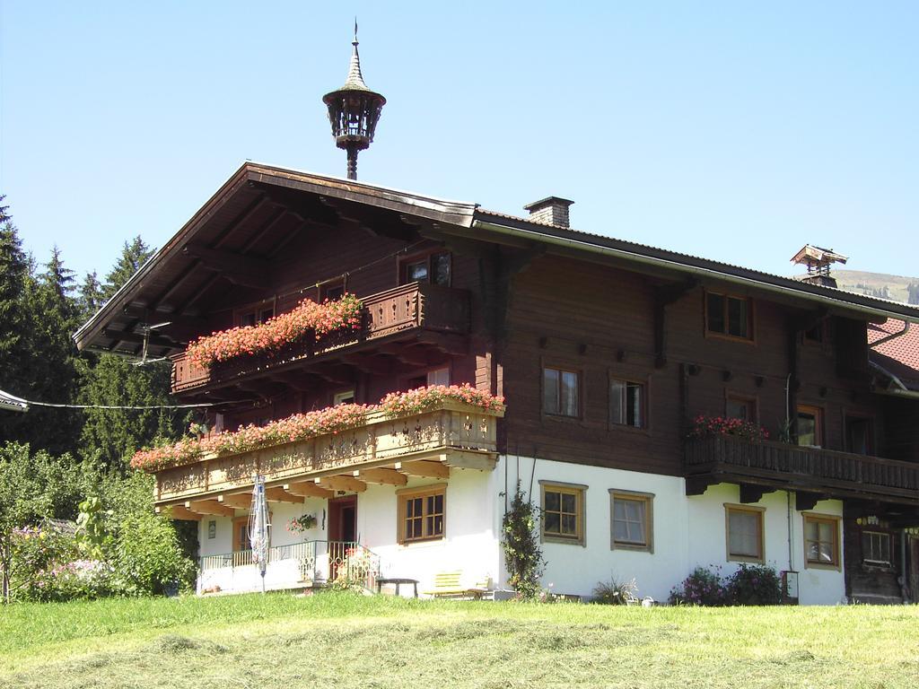 Mitterhaidgut Villa Hollersbach im Pinzgau Bagian luar foto